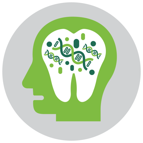 Craniofacial Development & Genetics
